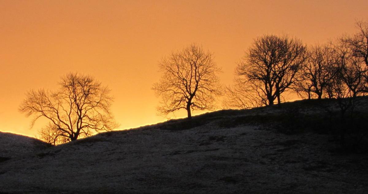 Scar Close Farmhouse Hotel Settle Esterno foto
